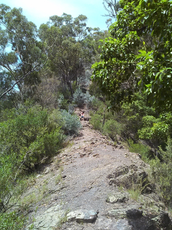 Bungonia White Track climb out